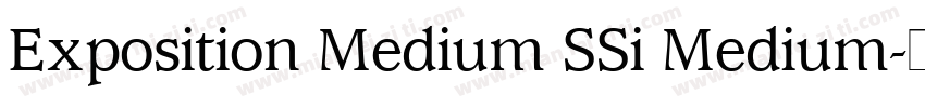 Exposition Medium SSi Medium字体转换